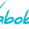 Waboba